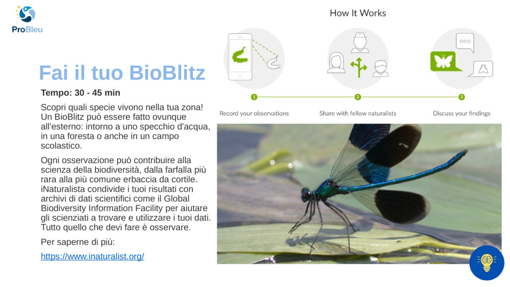 Fai il tuo BioBlitz!