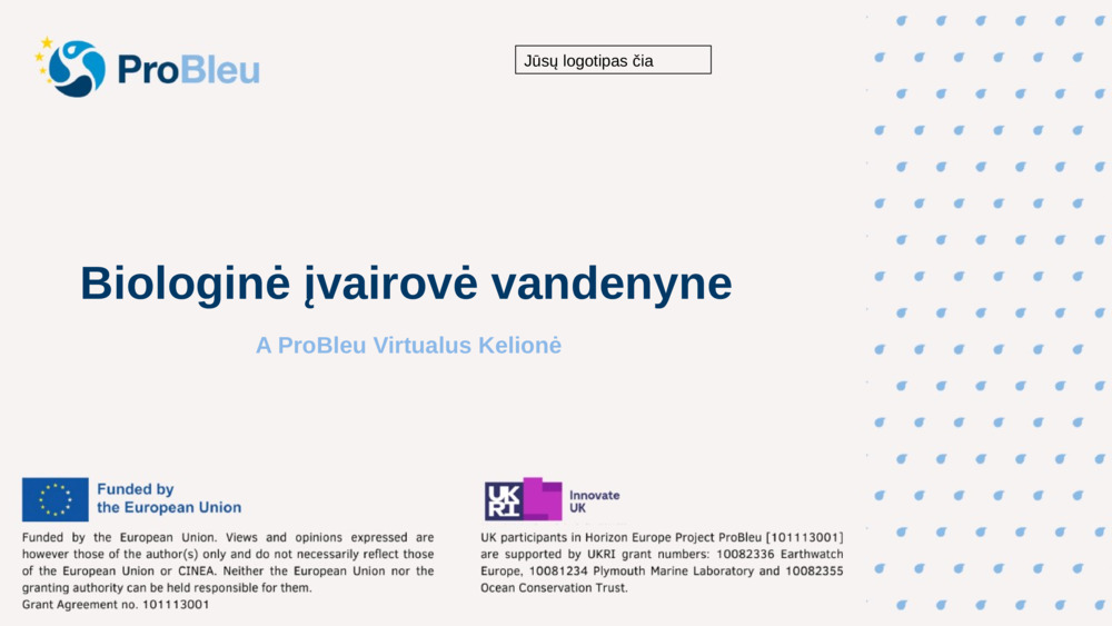 Biologinė įvairovė vandenyne