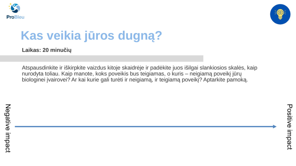 Kas veikia jūros dugną?