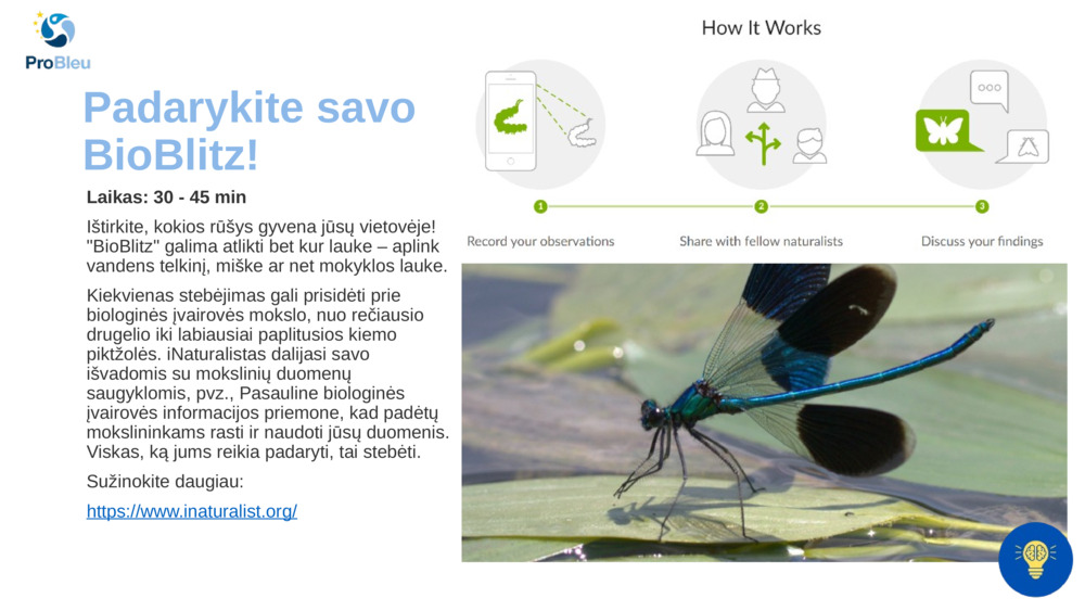 Padarykite savo BioBlitz!