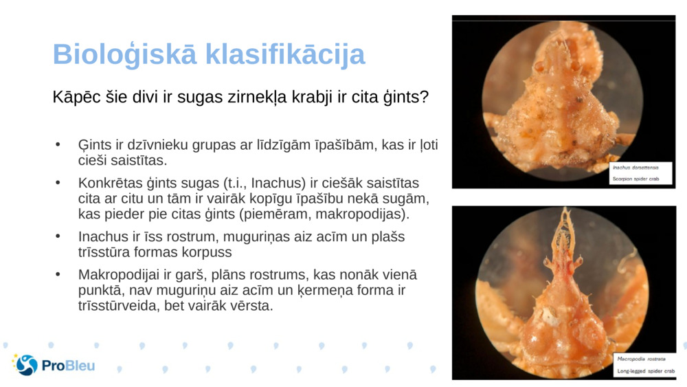 Bioloģiskā klasifikācija 