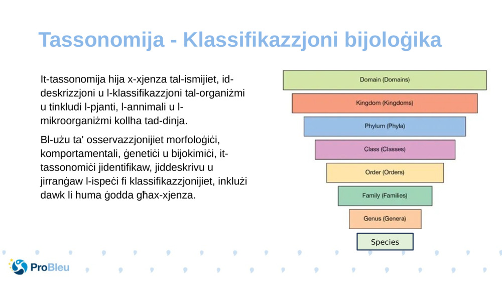 It-tassonomija hija x-xjenza tal-ismijiet, id-deskrizzjoni u l-klassifikazzjoni tal-organiżmi u tinkludi l-pjanti, l-annimali u l-mikroorganiżmi kollha tad-dinja.