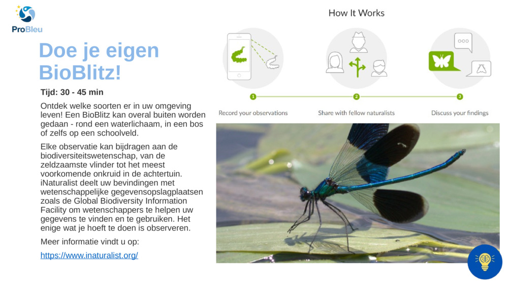 Doe je eigen BioBlitz!