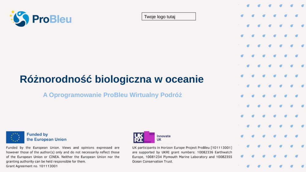 Różnorodność biologiczna w oceanie