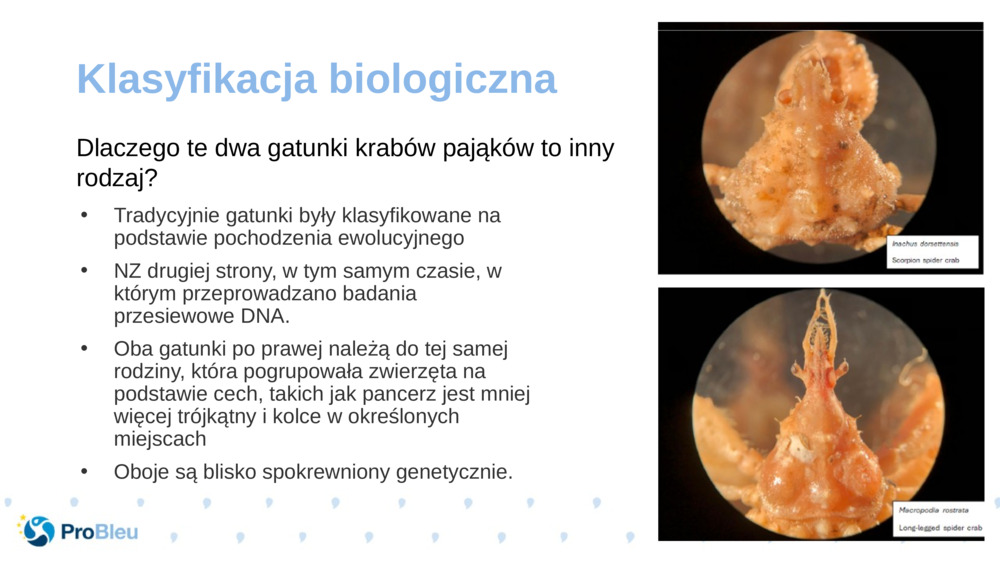 Klasyfikacja biologiczna 