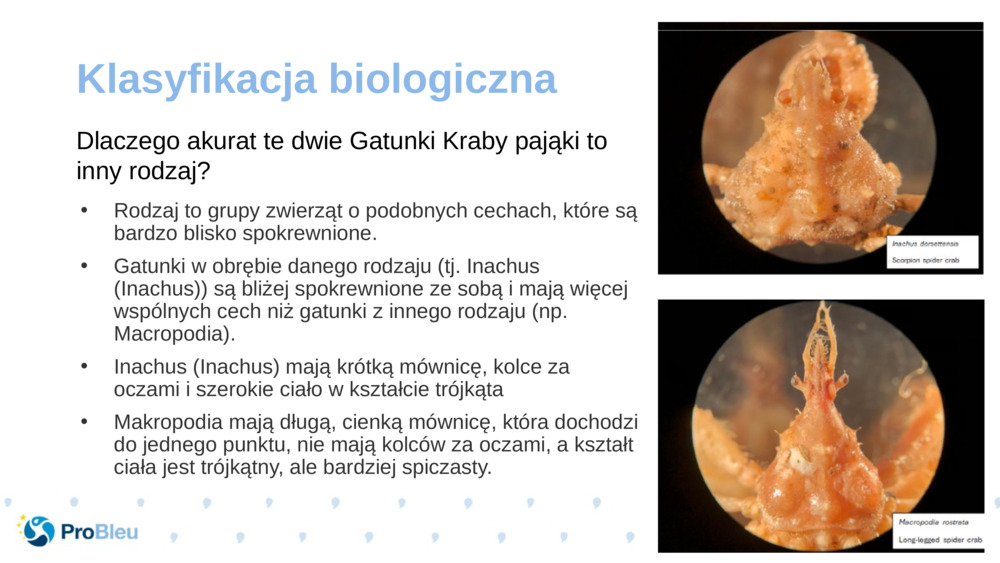 Klasyfikacja biologiczna 