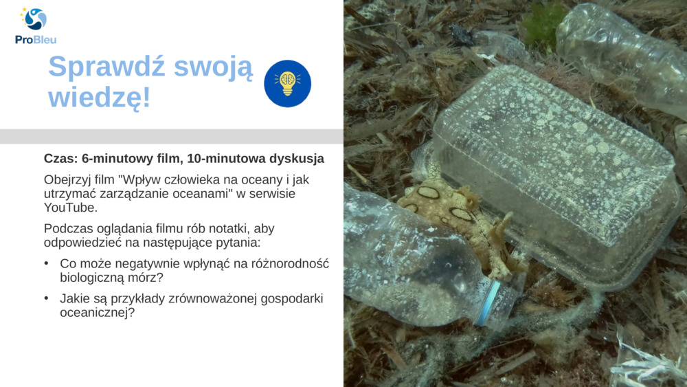 Sprawdź swoją wiedzę!