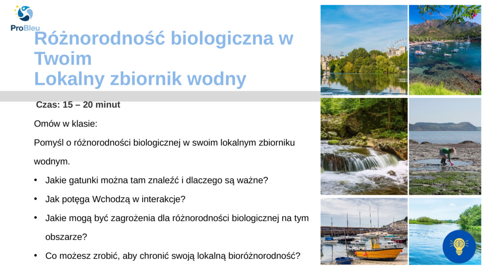 Różnorodność biologiczna w Twoim 