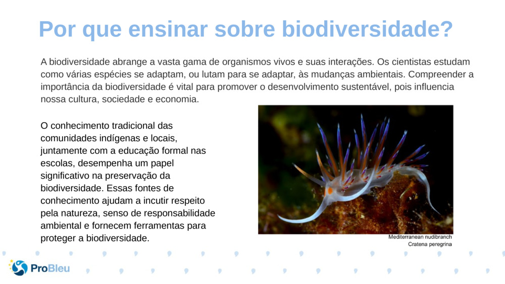 A biodiversidade abrange a vasta gama de organismos vivos e suas interações. Os cientistas estudam como várias espécies se adaptam, ou lutam para se adaptar, às mudanças ambientais. Compreender a importância da biodiversidade é vital para promover o desenvolvimento sustentável, pois influencia nossa cultura, sociedade e economia.