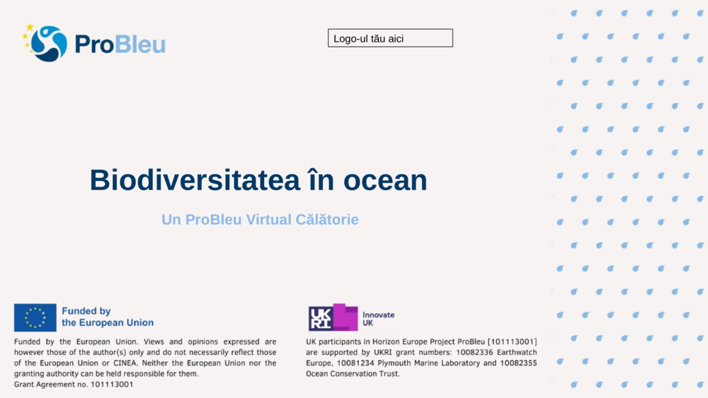 Biodiversitatea în ocean