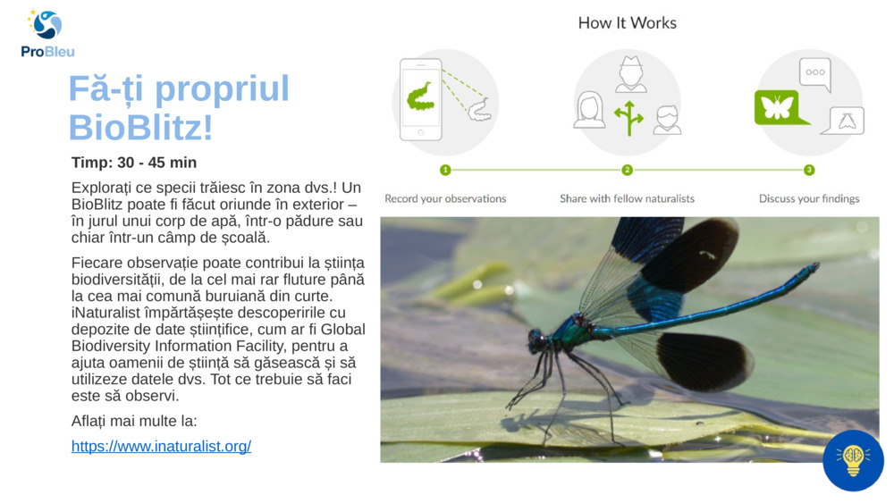 Fă-ți propriul BioBlitz!