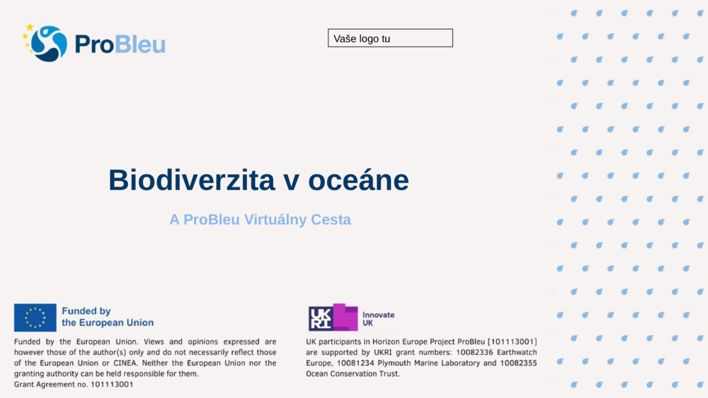 Biodiverzita v oceáne