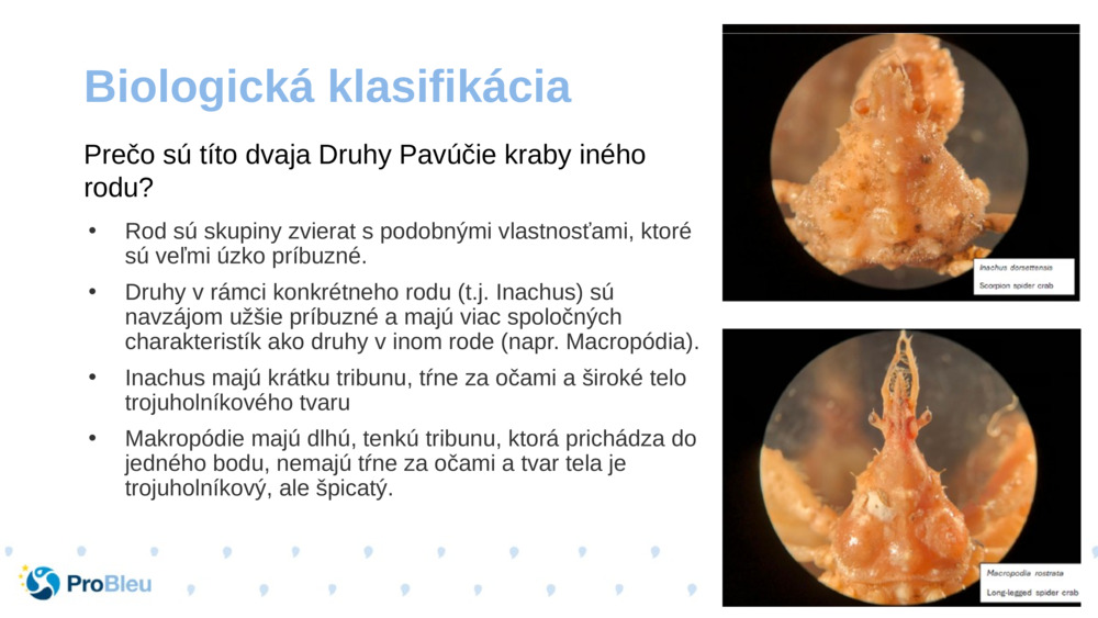 Biologická klasifikácia 