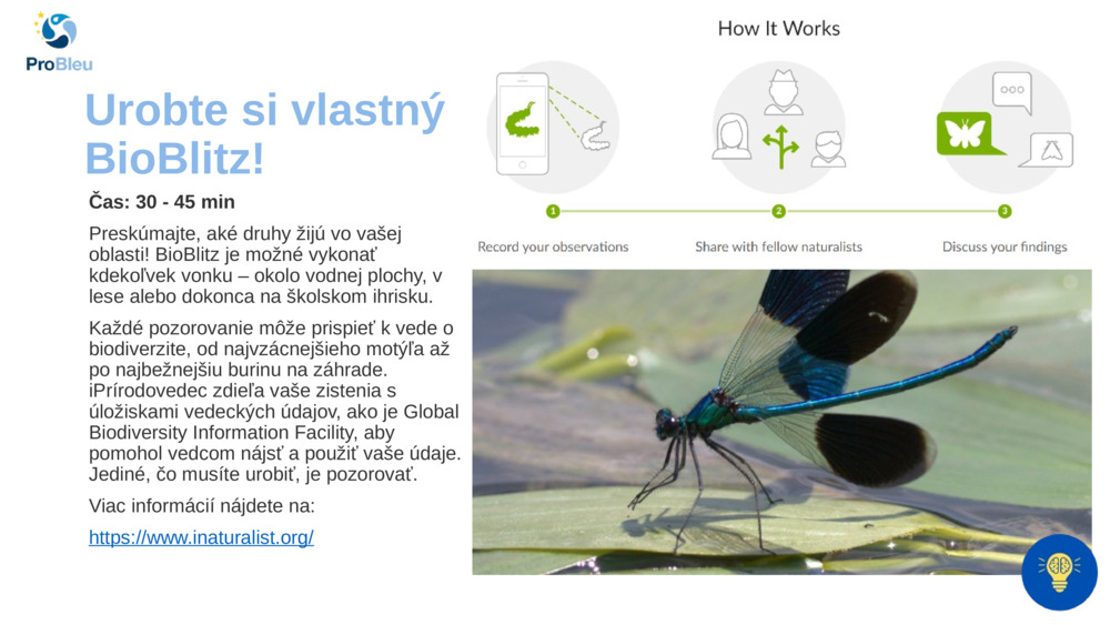 Urobte si vlastný BioBlitz!