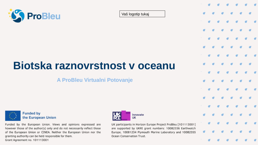 Biotska raznovrstnost v oceanu