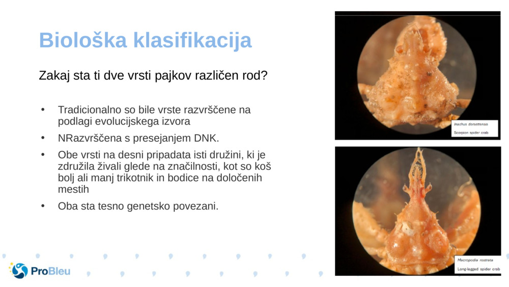 Biološka klasifikacija 