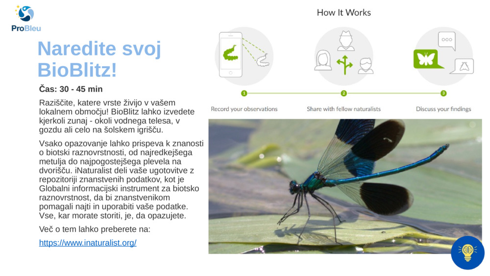 Naredite svoj BioBlitz!