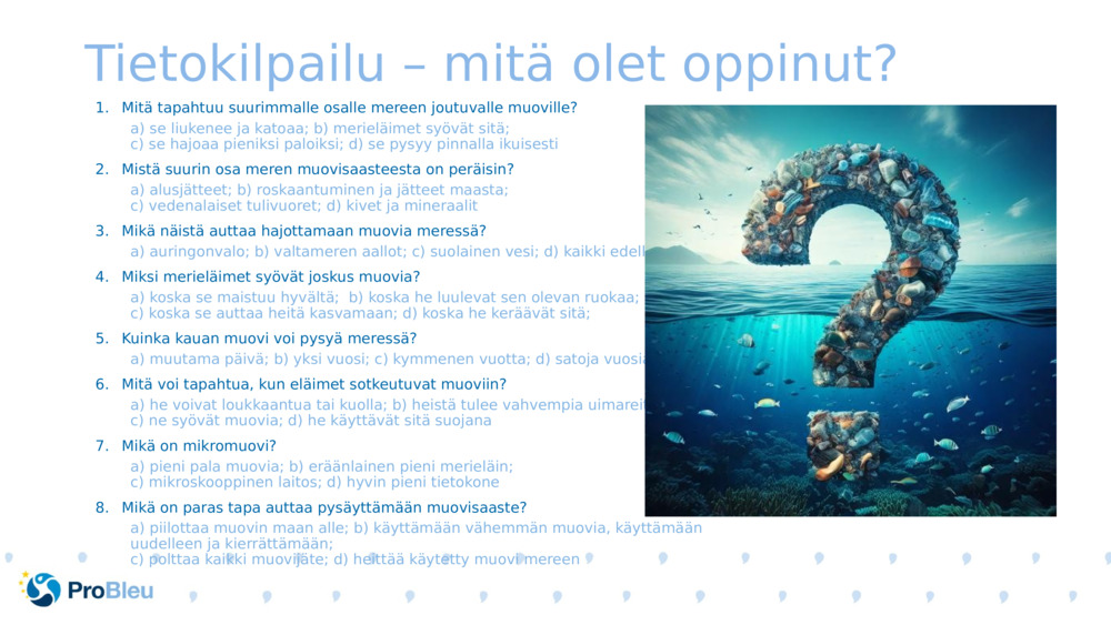 Tietokilpailu – mitä olet oppinut?