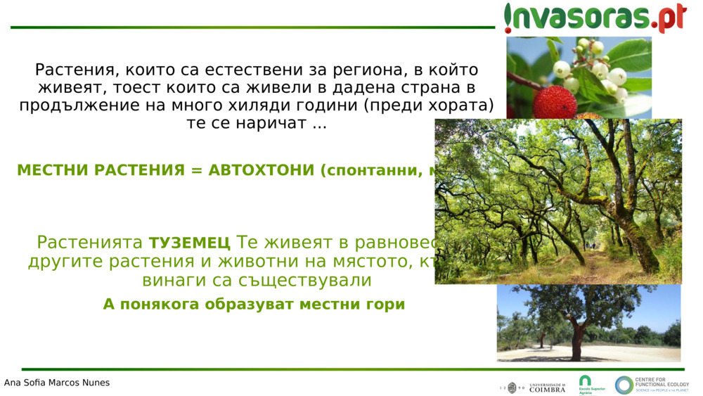 Растения, които са естествени за региона, в който живеят, тоест които са живели в дадена страна в продължение на много хиляди години (преди хората) 