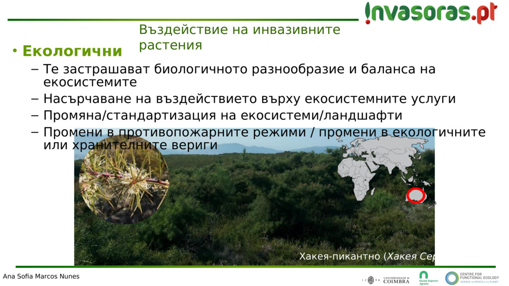 Въздействие на инвазивните растения 