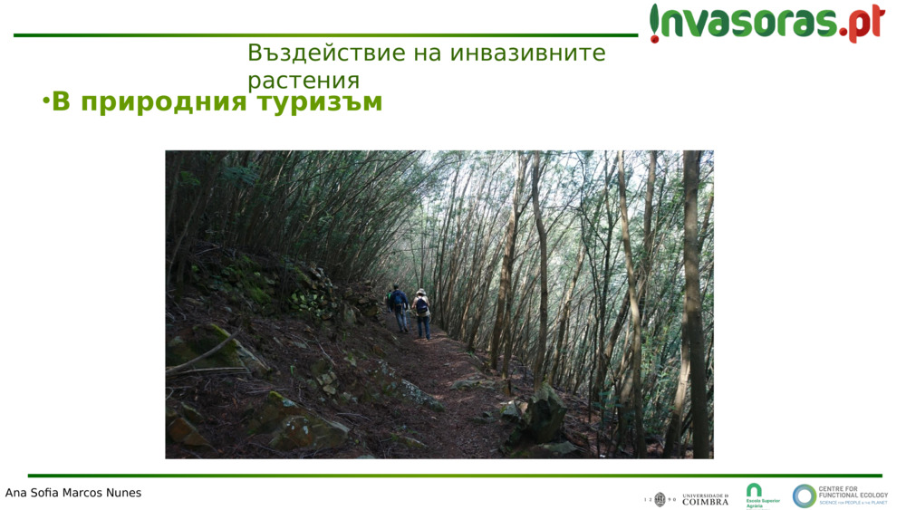 В природния туризъм