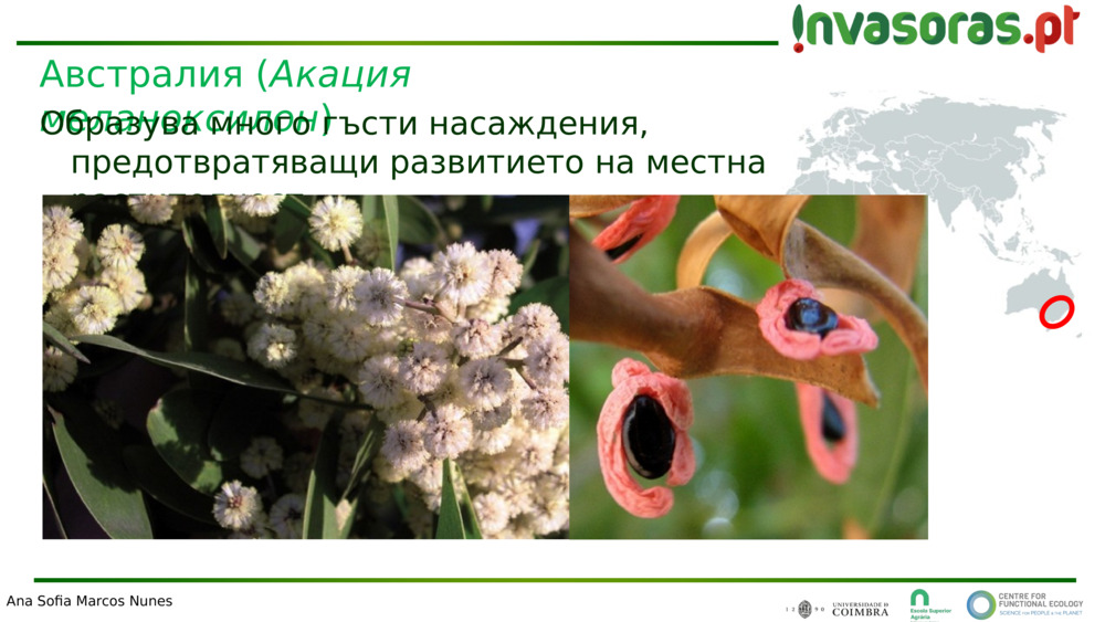 Австралия (
