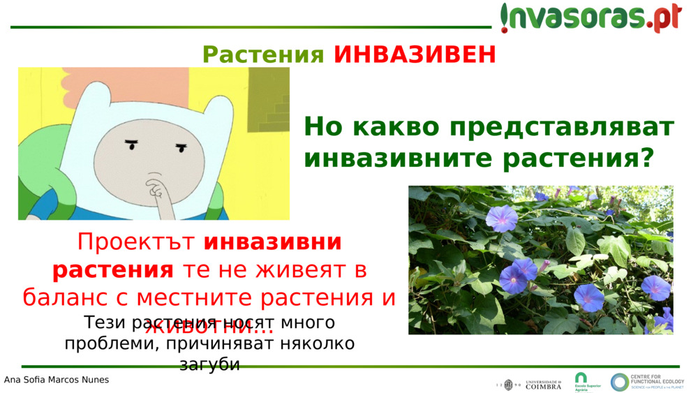 Проектът 