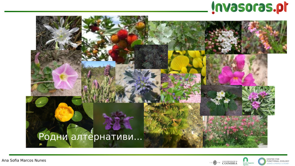 Всички ние участваме в този процес. Всички можем да помогнем! "ПРЕВЕНЦИЯТА Е НАЙ-ДОБРИЯТ ВАРИАНТ"