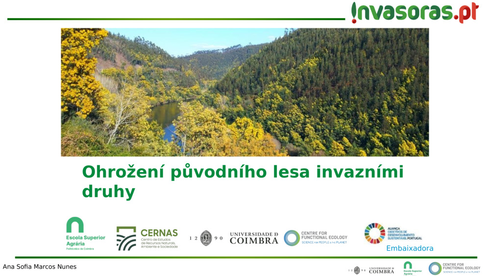 Ohrožení původního lesa invazními druhy