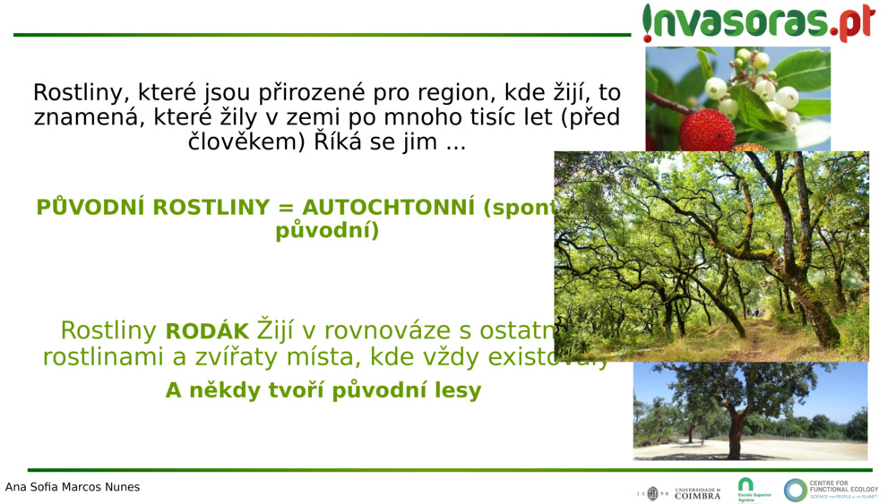 Rostliny, které jsou přirozené pro region, kde žijí, to znamená, které žily v zemi po mnoho tisíc let (před člověkem) 