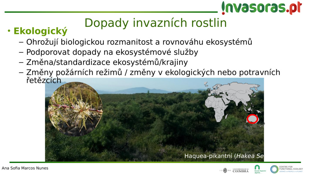 Dopady invazních rostlin 
