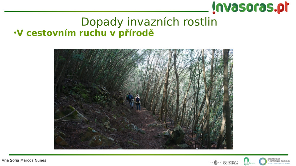 V cestovním ruchu v přírodě