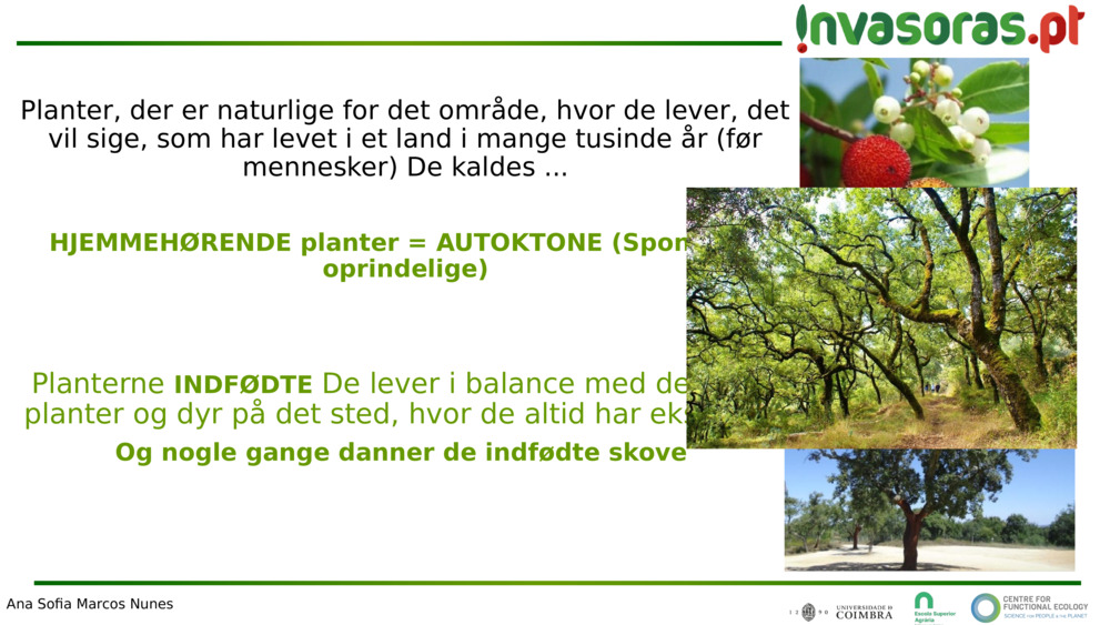 Planter, der er naturlige for det område, hvor de lever, det vil sige, som har levet i et land i mange tusinde år (før mennesker) 