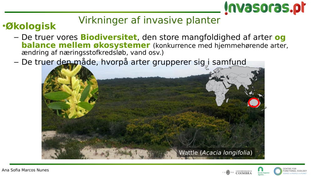 Virkninger af invasive planter 