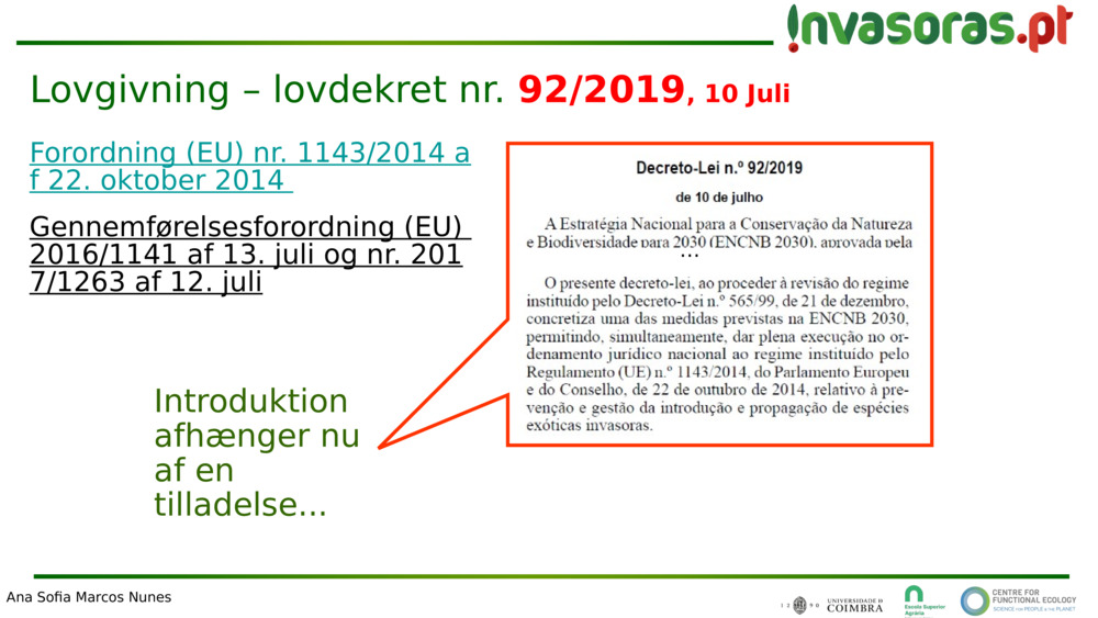 Lovgivning – lovdekret nr. 