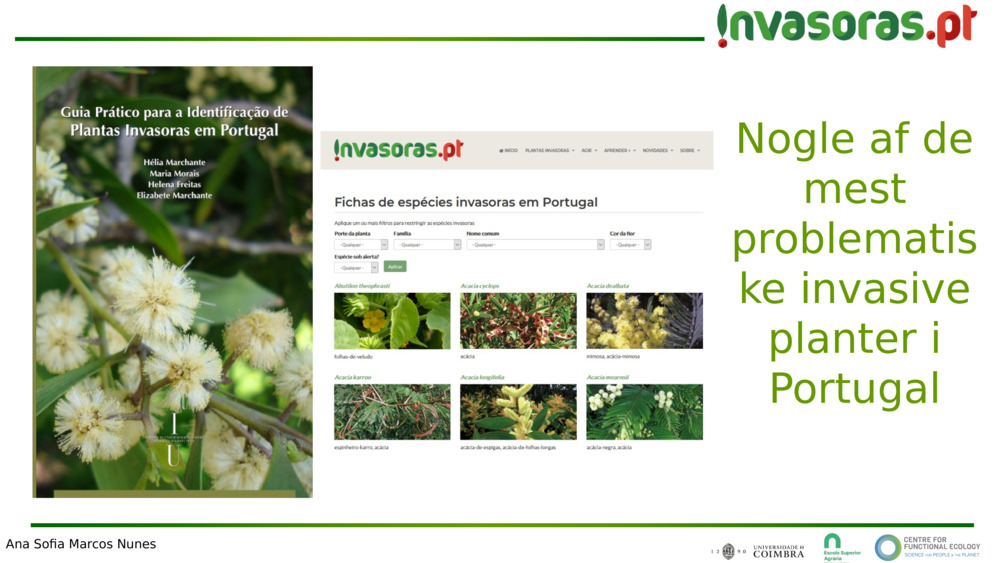 Nogle af de mest problematiske invasive planter i Portugal