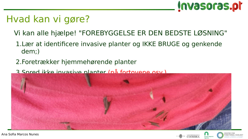 Vi kan alle hjælpe! "FOREBYGGELSE ER DEN BEDSTE LØSNING"