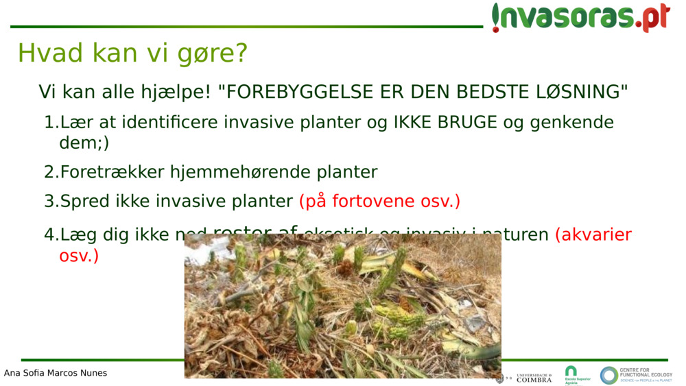 Vi kan alle hjælpe! "FOREBYGGELSE ER DEN BEDSTE LØSNING"