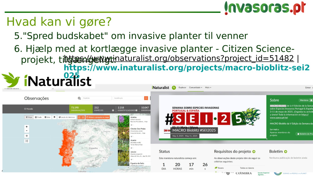 "Spred budskabet" om invasive planter til venner