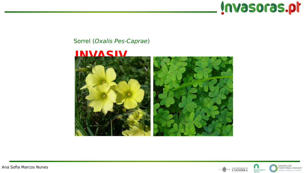 INVASIV