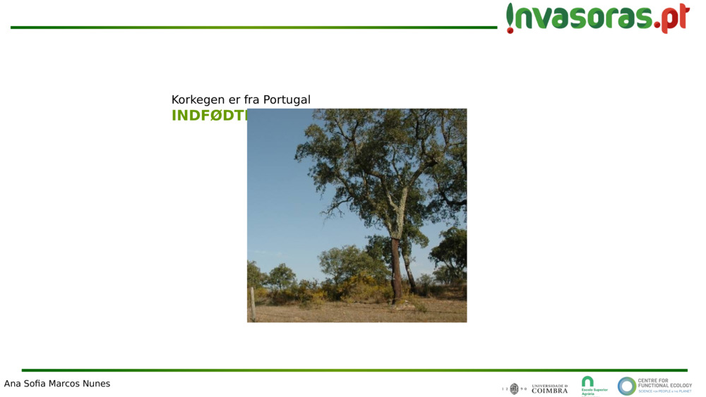 Korkegen er fra Portugal