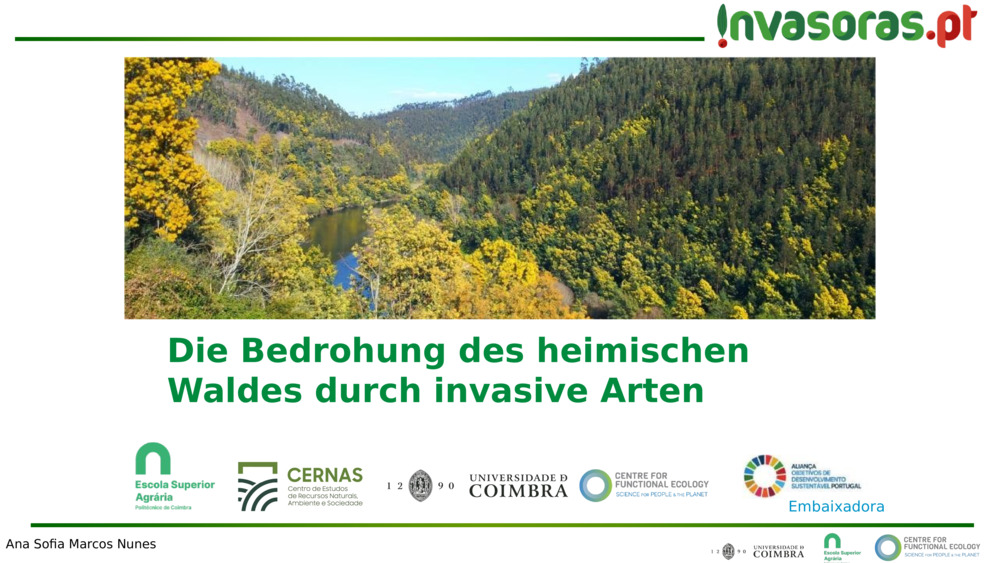 Die Bedrohung des heimischen Waldes durch invasive Arten
