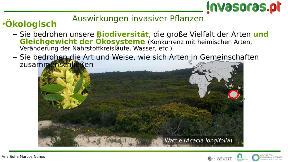 Auswirkungen invasiver Pflanzen 