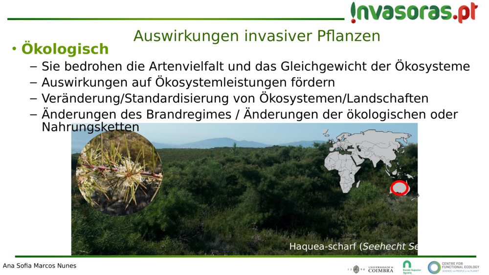 Auswirkungen invasiver Pflanzen 