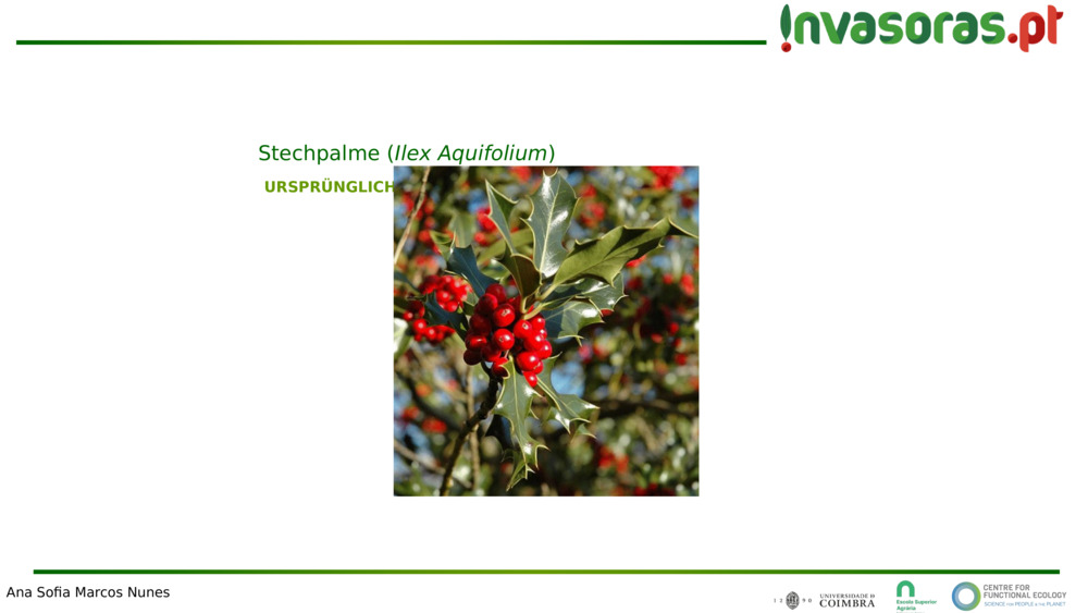 URSPRÜNGLICH