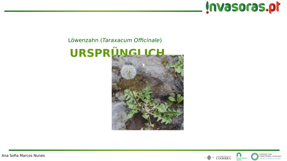 URSPRÜNGLICH