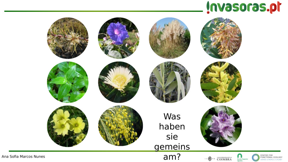 Was haben sie gemeinsam?