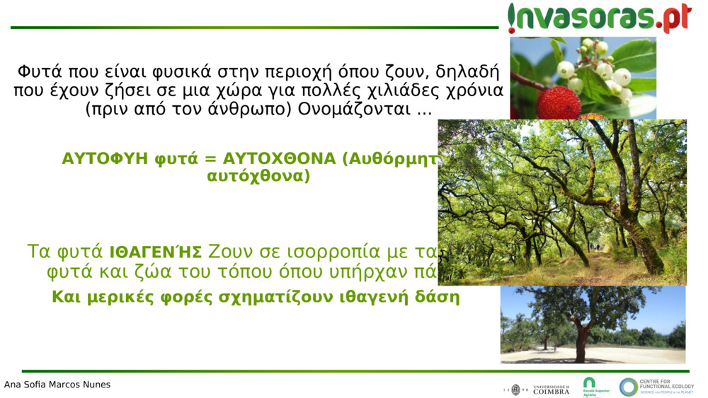 Φυτά που είναι φυσικά στην περιοχή όπου ζουν, δηλαδή που έχουν ζήσει σε μια χώρα για πολλές χιλιάδες χρόνια (πριν από τον άνθρωπο) 