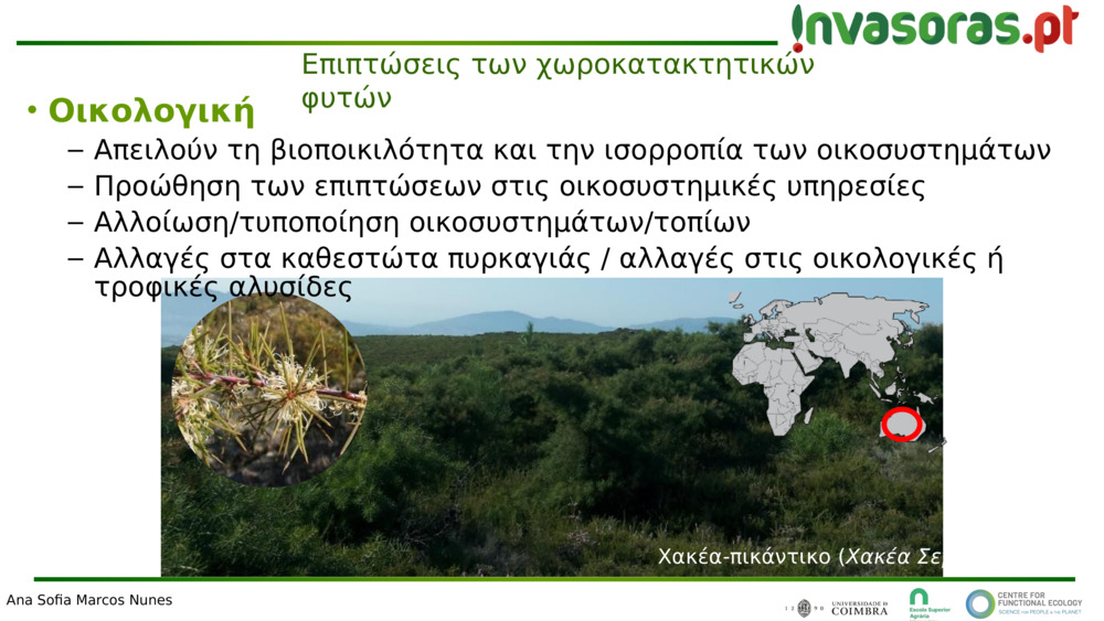 Επιπτώσεις των χωροκατακτητικών φυτών 