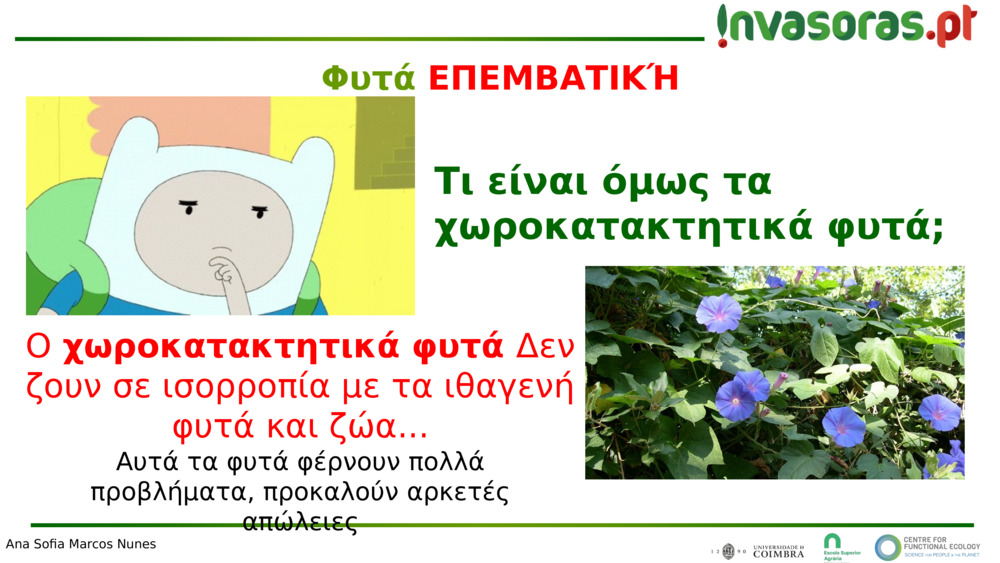 Ο 